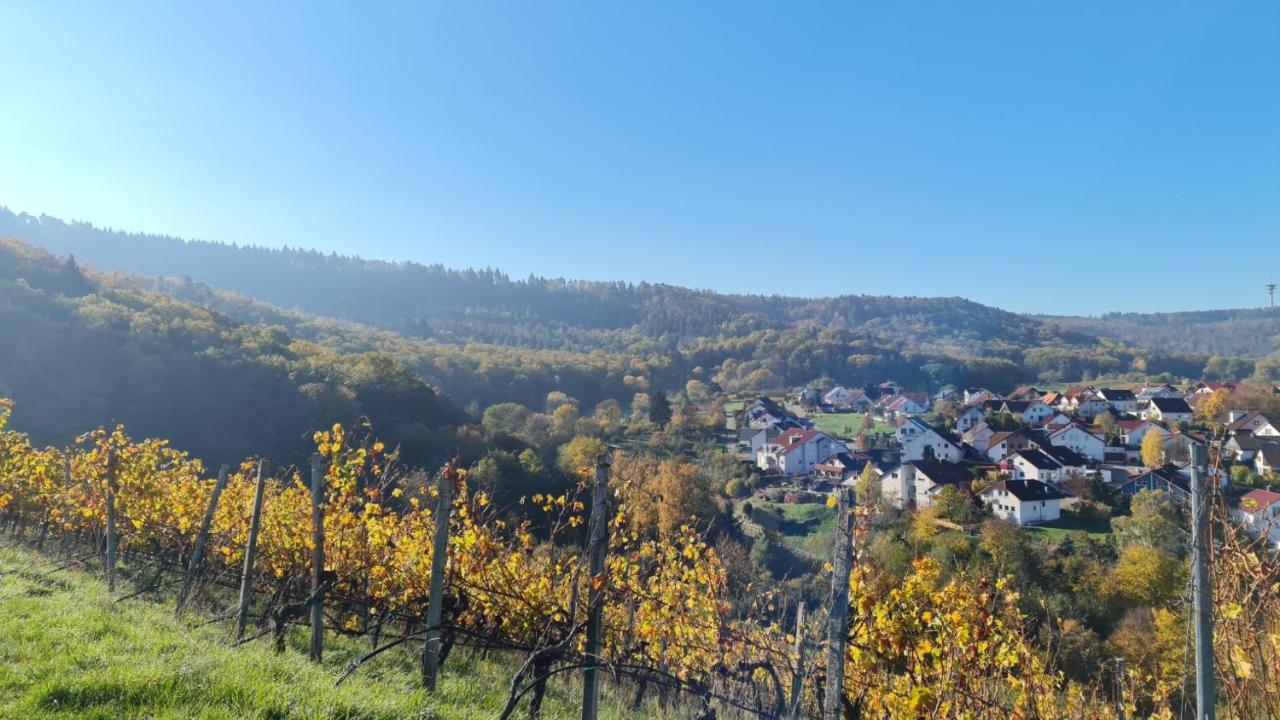 Villa Unter Dem Schloss Cleebronn Bagian luar foto